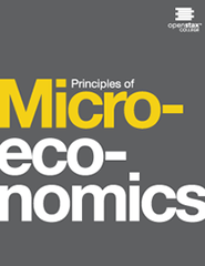 Principes de microéconomie image manuel